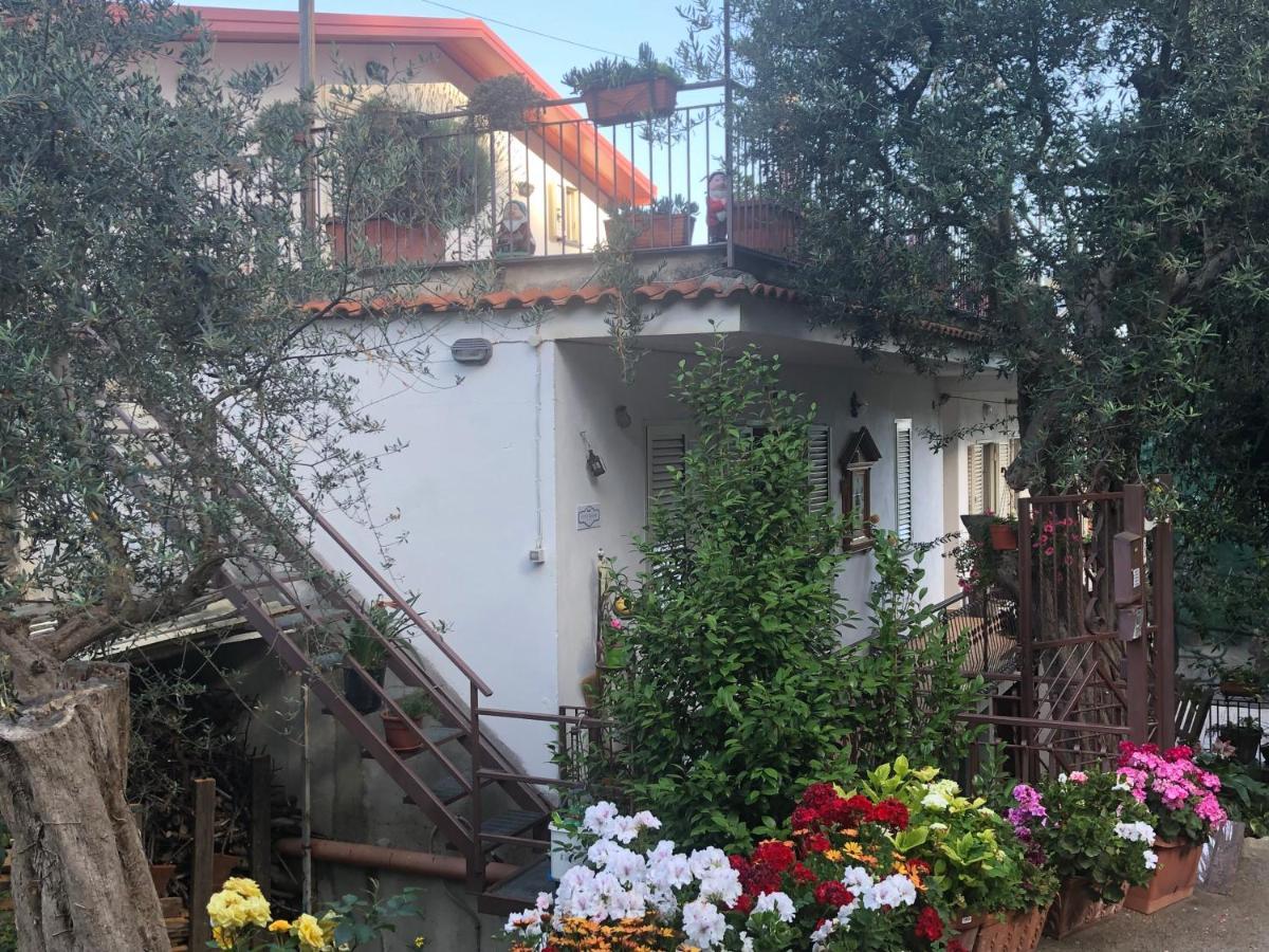 فيكو إيكوينس B&B Cosy Room المظهر الخارجي الصورة